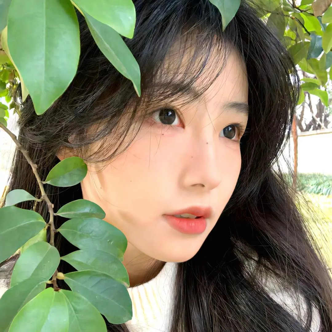 我亲爱的怪物伙伴